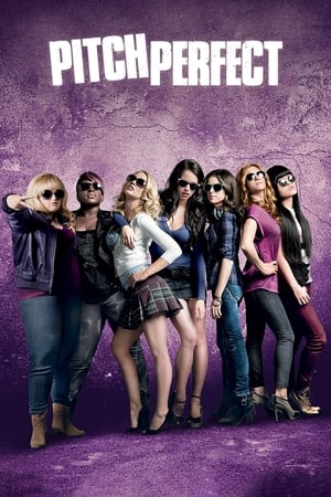 Pitch Perfect (2012) Hindi Dual Audio 480p BluRay 370MB