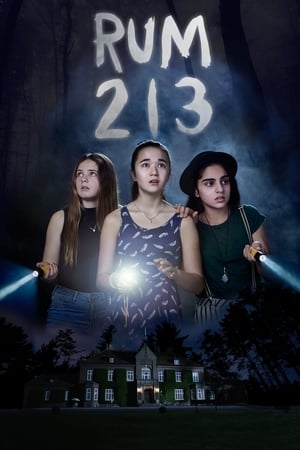 Rum 213 2017 Hindi Dual Audio 720p BluRay [800MB]