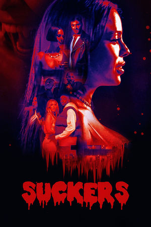 Suckers (2024) WEBRIP Hindi (MULTI AUDIO) 720p 480p 1080p