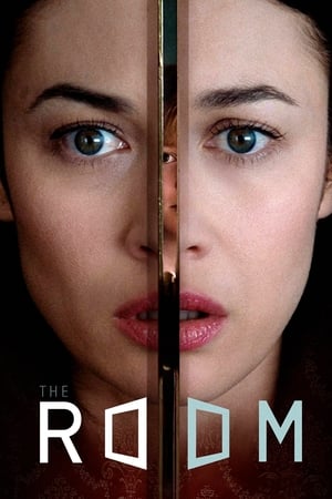 The Room 2019 Hindi Dual Audio 480p BluRay 300MB