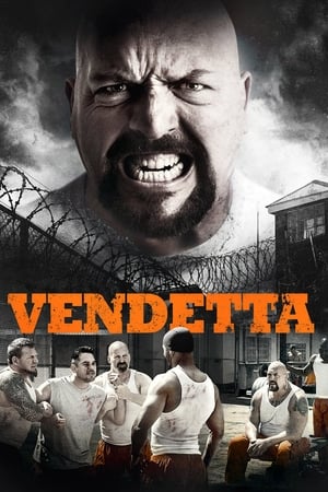 Vendetta 2015 Hindi Dual Audio 480p BluRay 300MB