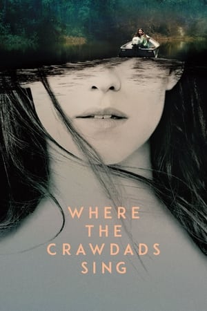 Where the Crawdads Sing (2022) Hindi Dual Audio HDRip 720p – 480p